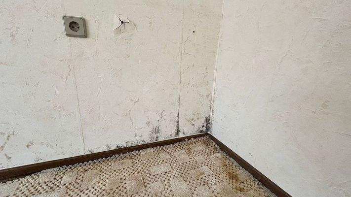 Feuchtigkeit im Sockelbereich