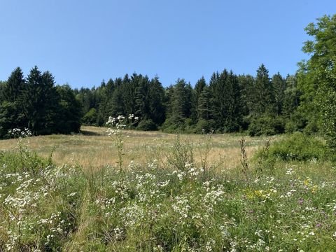 Glanegg Bauernhöfe, Landwirtschaft, Glanegg Forstwirtschaft