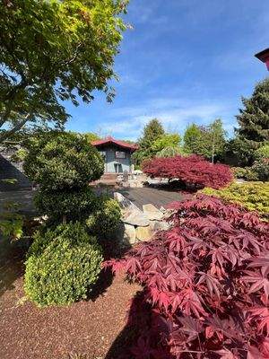 WhatsApp Image 2025-11-04 at 14.22.05 (2)