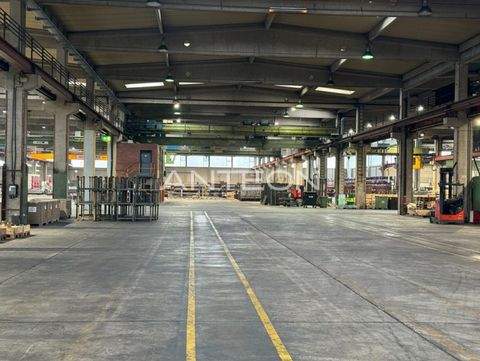 Neuss Halle, Neuss Hallenfläche