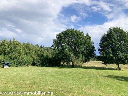 Ausblick nach Osten.JPG