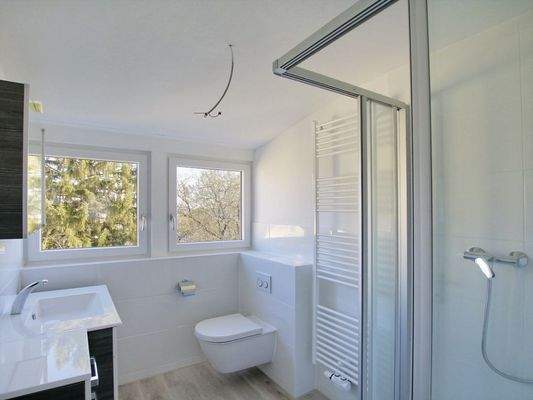 Modernes Tageslichtbad