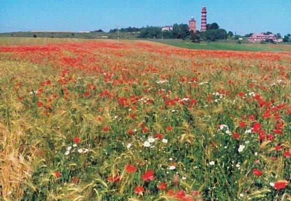 Imagefoto &quot;Kap Arkona&quot;