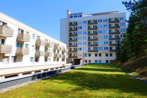 Baiersbronn Wohnungen, Baiersbronn Wohnung kaufen