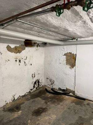 WhatsApp Image 2026-03-09 at 02.28.56 (9).jpeg