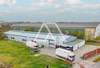 Barbarastr 10 - Online