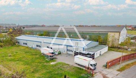 Schönebeck Halle, Schönebeck Hallenfläche