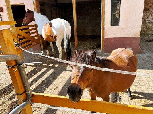 Hofbereich mit Unterstand