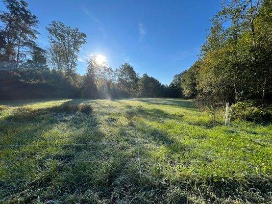 Waldgrundstück in Kirchanschöring 