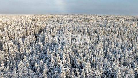 Rovaniemi Grundstücke, Rovaniemi Grundstück kaufen