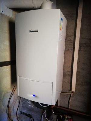 IMG_20220308_101443_resized_20220324_100321976