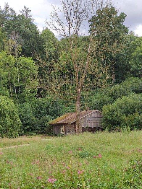 Adlkofen Häuser, Adlkofen Haus kaufen