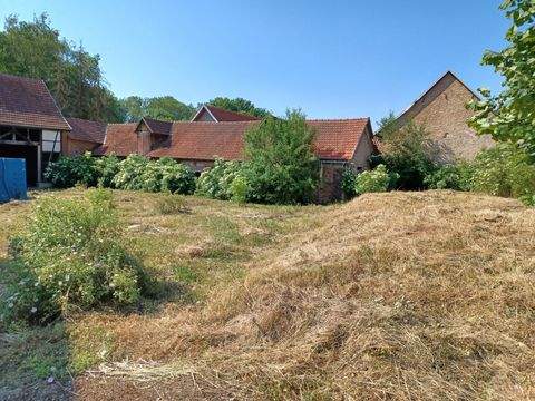 Thüringenhausen Häuser, Thüringenhausen Haus kaufen