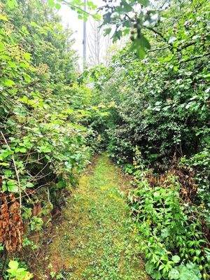 11 Gartenansichten.jpg