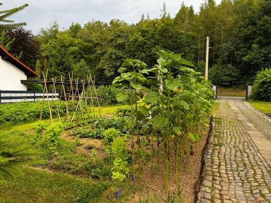 Grundstück 1 von Süden