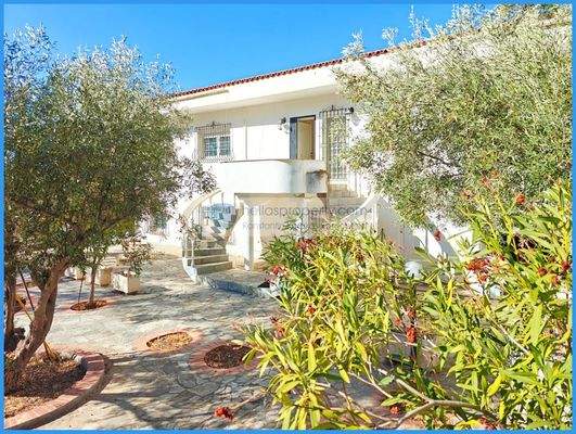 d36a19cddf1547b6ba0bc653b4a3f6d1-original