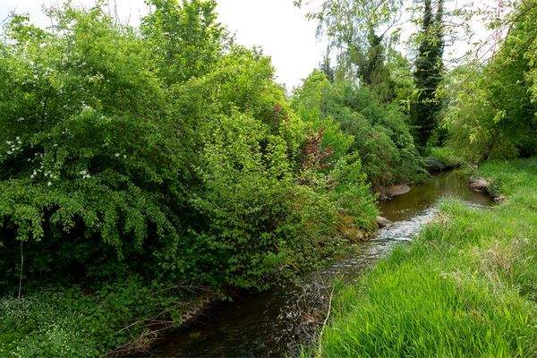 Fast vor der Haustür