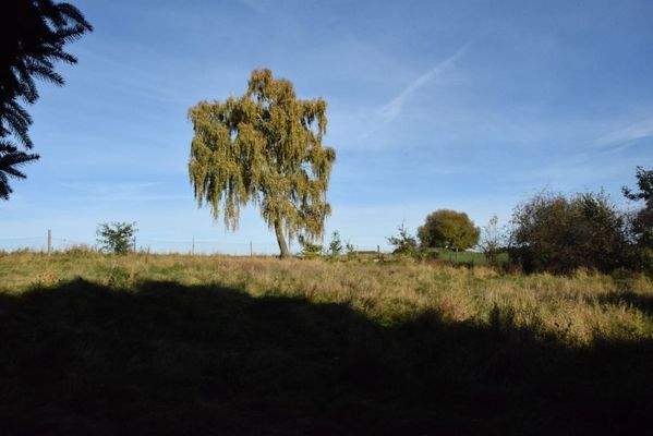 A142_Haus_Zarnewanz7