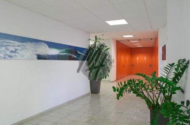 INFOS UNTER: 06171-586000