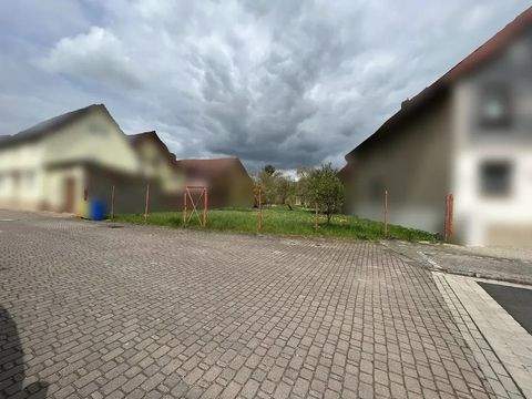 Mühlhausen/Thüringen Häuser, Mühlhausen/Thüringen Haus kaufen