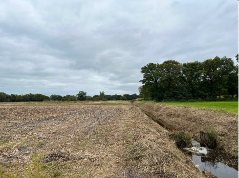 Graben Südseite, von Westen