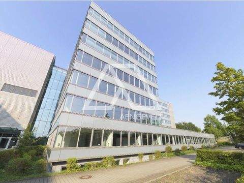 Frankfurt am Main Büros, Büroräume, Büroflächen 