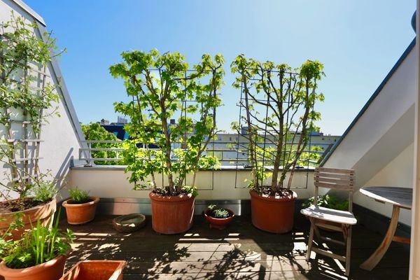 Terrasse 3