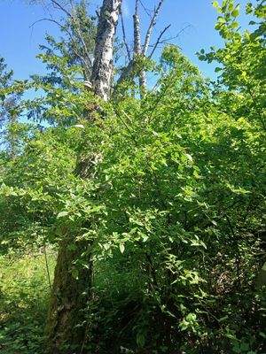 00fa6bbb-11ee-4131-b48b-5113744ae026