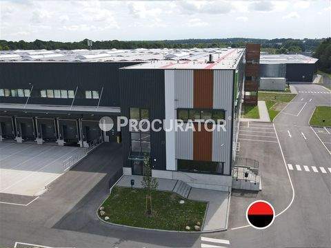 Seevetal Halle, Seevetal Hallenfläche