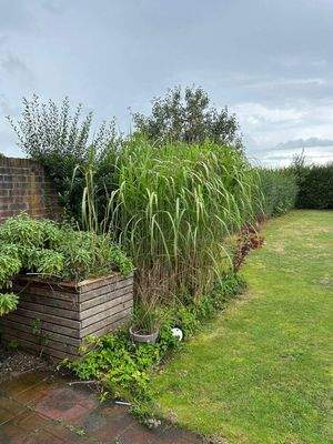 fc5b9da6-7c58-4e51-91d5-39b5a8d84c9e.jfif