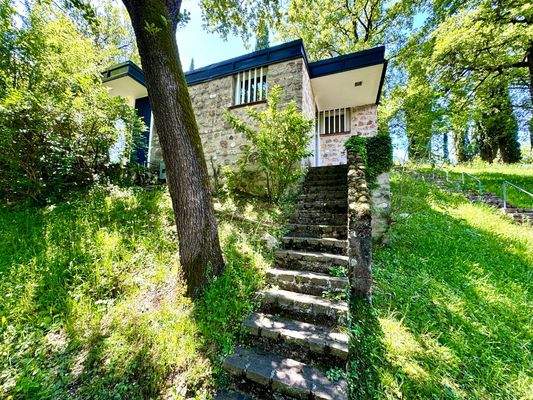 IMG_E8616 (Grande).JPG