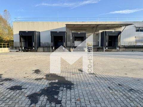 Rösrath Halle, Rösrath Hallenfläche