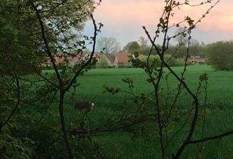 Heute noch Garten, morgen kann neues Leben mit BIEN ZENKER einziehen