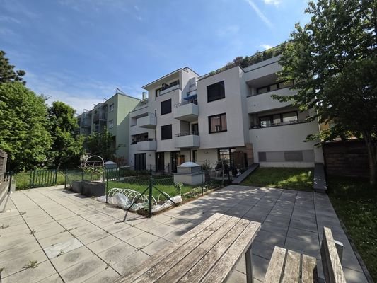 Bild 19