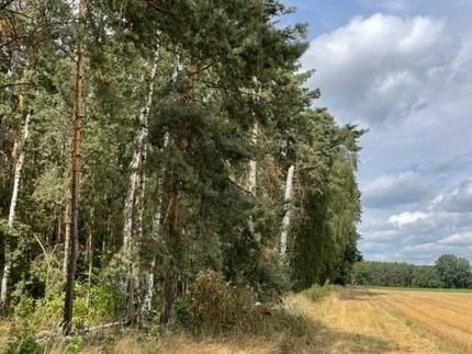 Weyerbusch Grundstücke, Weyerbusch Grundstück kaufen