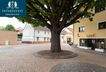 Außenansicht vom Marktplatz