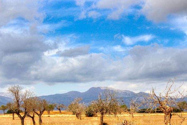 Zu-verkaufen-fantastische-Finca-in-sehr-ruhiger-Lage-bei-Costitx-Inca