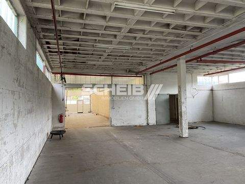 Künzelsau Halle, Künzelsau Hallenfläche