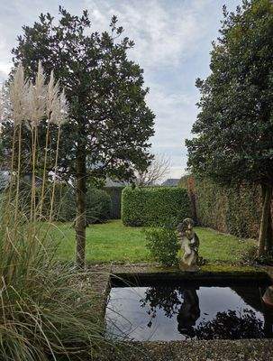 Impressionen Gartenteich