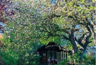 Garten mit Häuschen