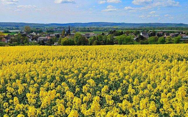 27 Impressionen Umgebung.jpg