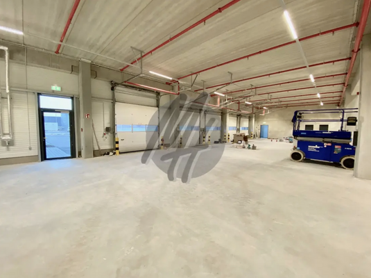 INFOS UNTER: 06171-586000