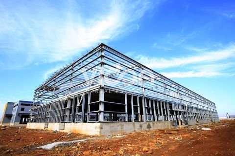 Elsdorf Halle, Elsdorf Hallenfläche