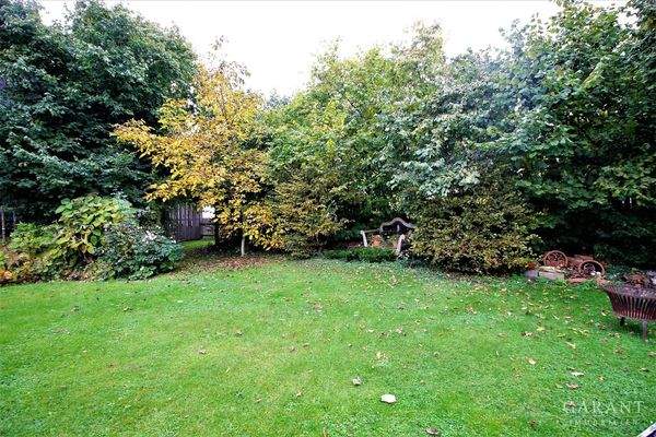 Schön eingewachsener Garten