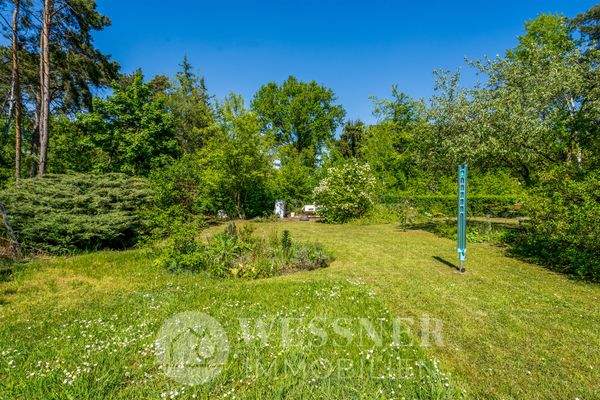 Außen-Gartenansicht