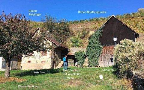 Vogtsburg im Kaiserstuhl Grundstücke, Vogtsburg im Kaiserstuhl Grundstück kaufen