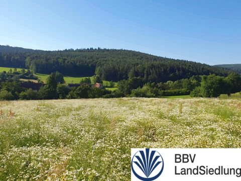 Ebern Bauernhöfe, Landwirtschaft, Ebern Forstwirtschaft