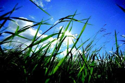 München Grundstücke, München Grundstück kaufen