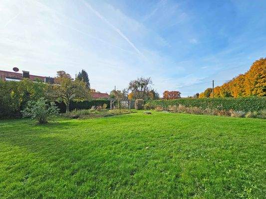 Blick von Südterrasse auf Garten