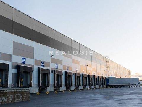 Großbeeren Halle, Großbeeren Hallenfläche